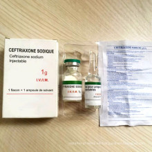 Ramadán Kareem GMP 0.25g / 1.0g Ceftriaxona inyectable Ceftriaxona inyectable